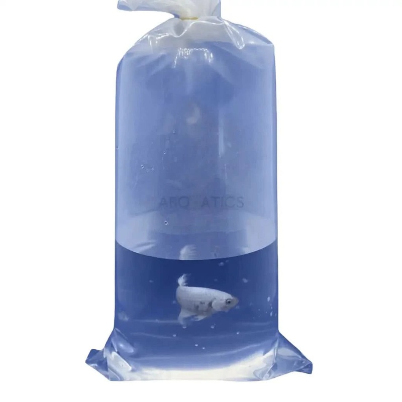100x Small Fish Bag 160 x 300mm
