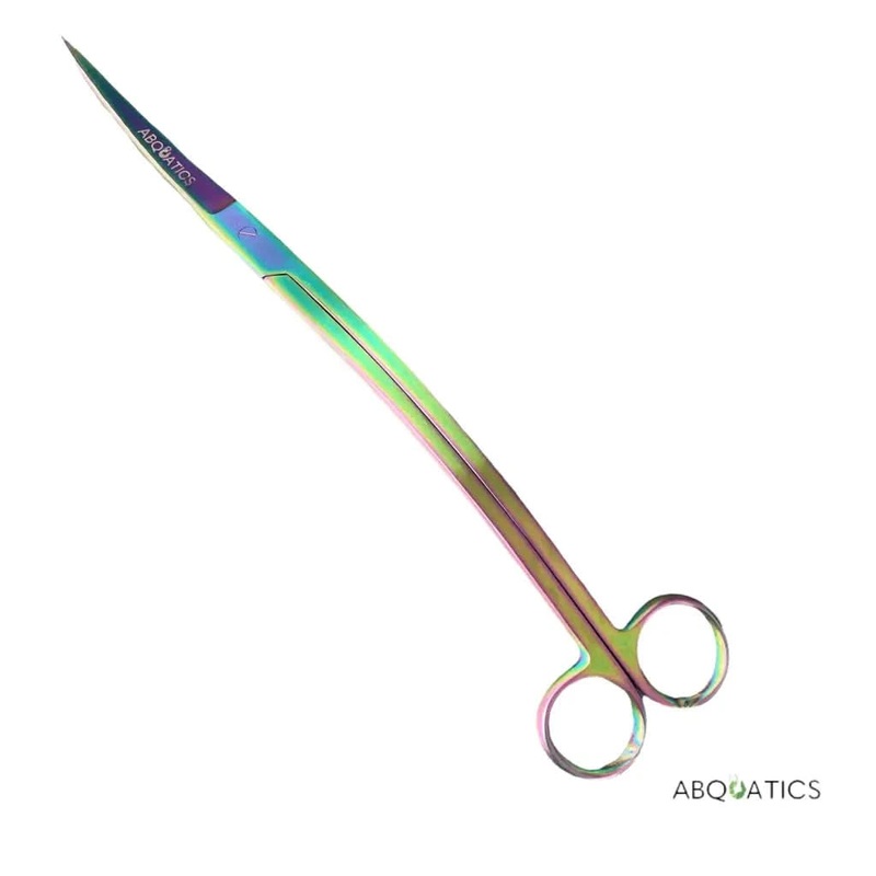 25CM  Scissor Wave Rainbow