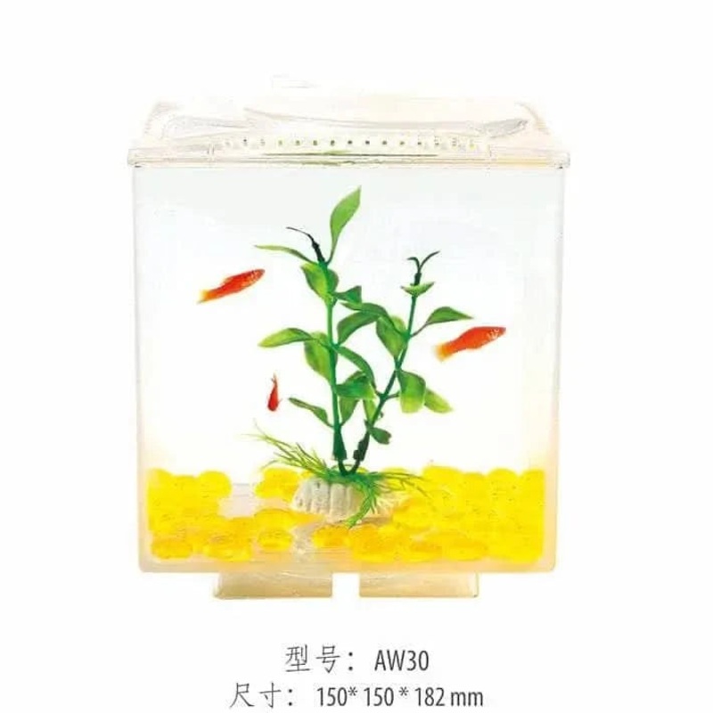 Apple window Plastic FIsh Tank
