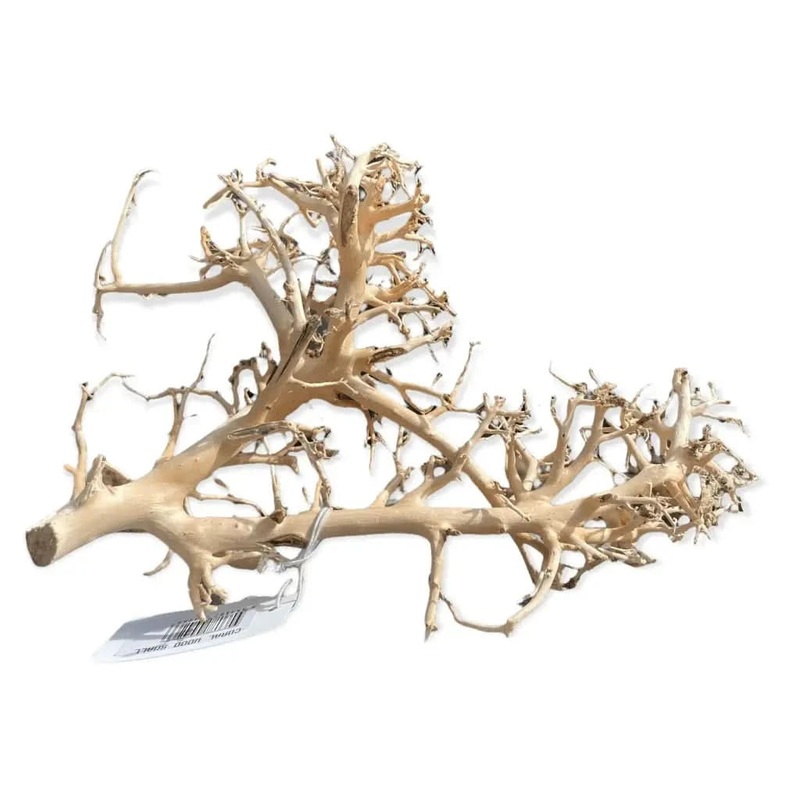 Assorted Coral Wood