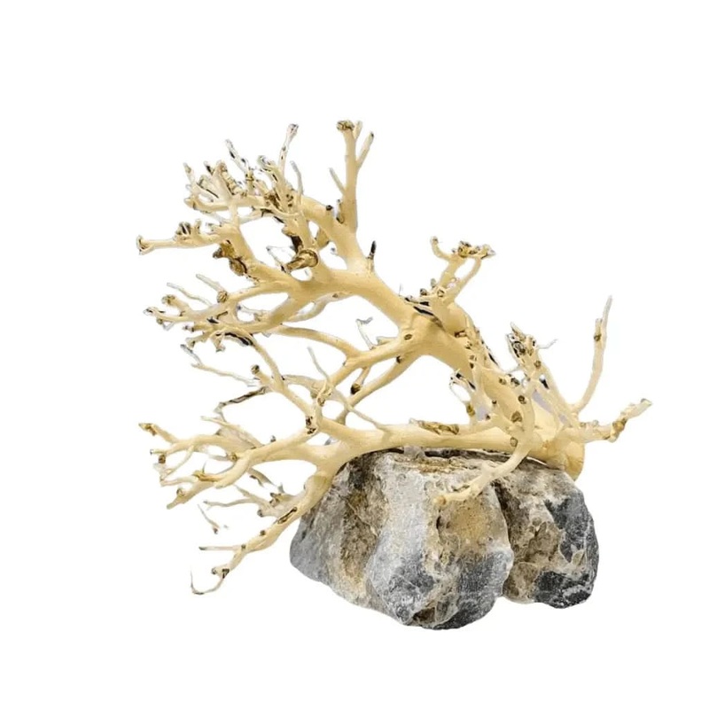 Assorted Coral Wood On Stone 10-15CM