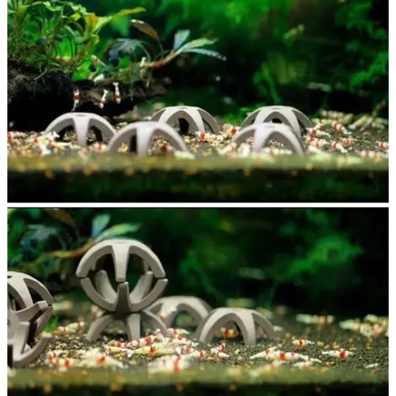 Ceramic Star Shrimp shelter - ( 5 in One Pack ) L(M31)