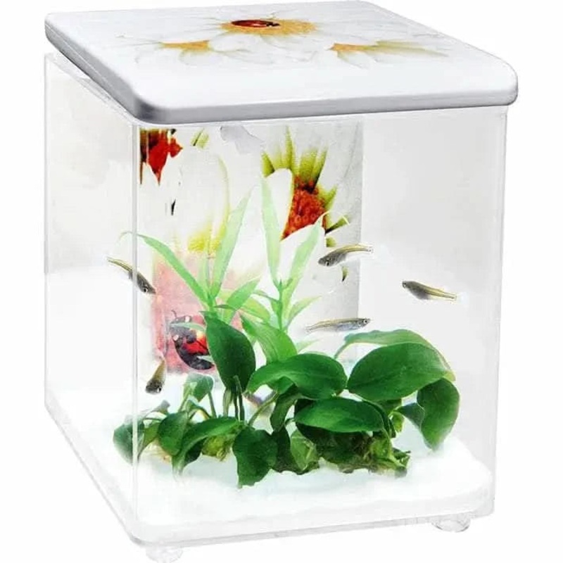 Fishhome tank with backing FH08A
