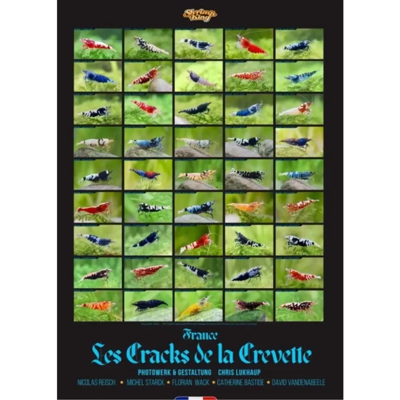 France Shrimp Poster