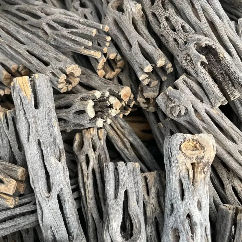 Nano Cholla Wood 10cm