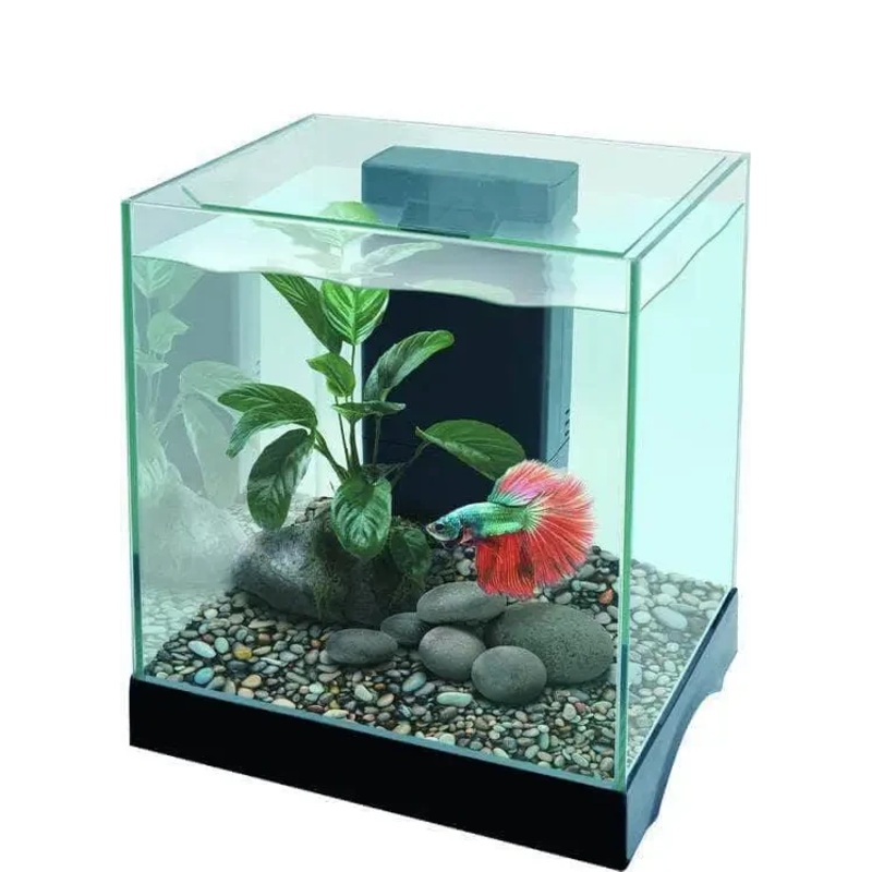 Pisces Aquatics Glass Betta Tank
