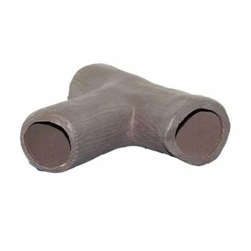 Pleco Breeding Log PTL19016050