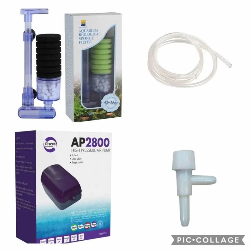 Single Filter & Pump Bundle