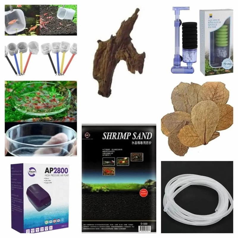 Start A Shrimp Tank Pack