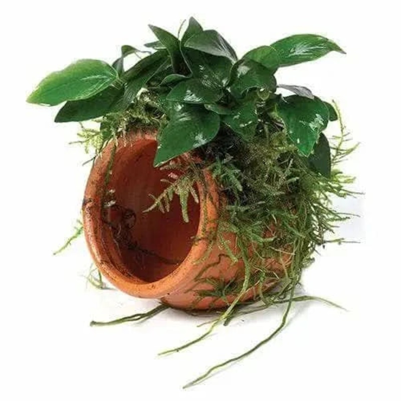 Terracotta Urn Paco