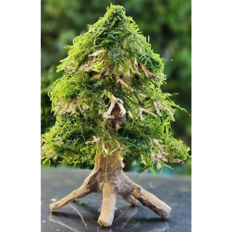 Aquascaping Handmade Aquatic Bonsai Driftwood Christmas Tree 20cm(L)x15cm(H) ABQ60