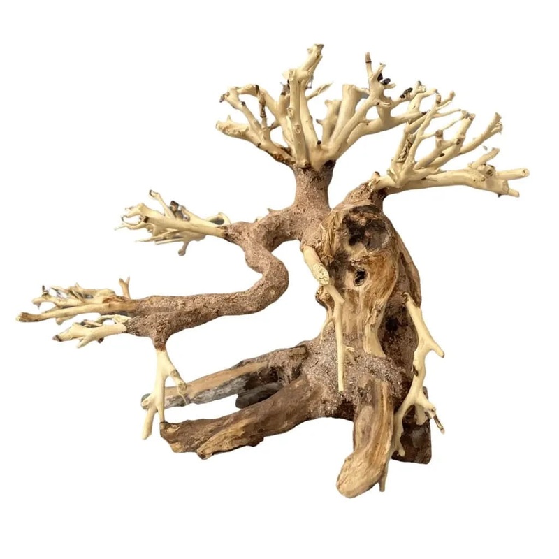 Aquascaping Handmade Aquatic Bonsai Driftwood Tree 20cm(L)x15cm(H) ABQ07