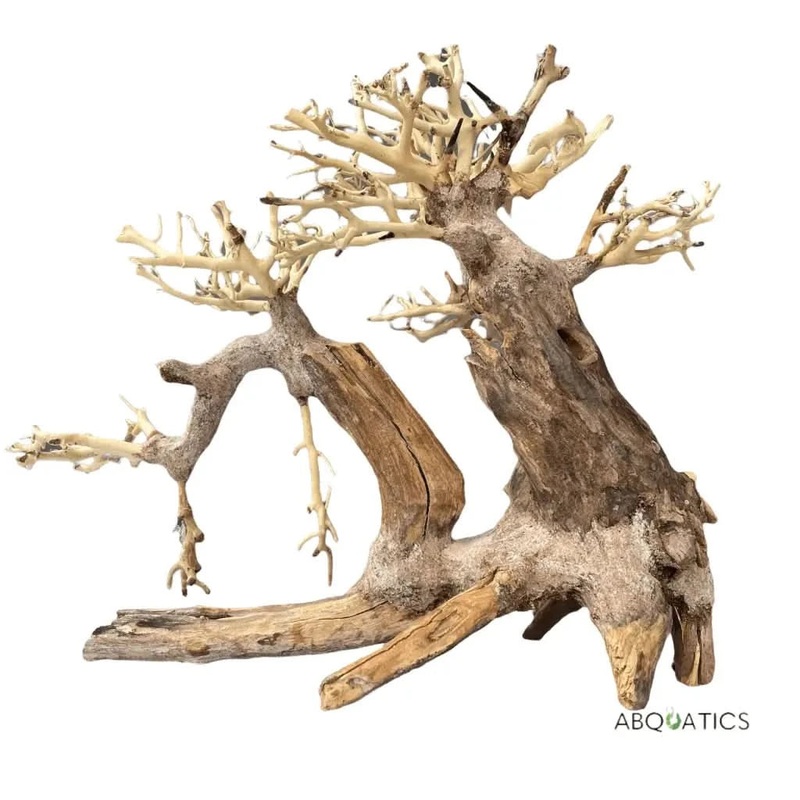 Aquascaping Handmade Aquatic Bonsai Driftwood Tree 25cm(L)x20cm(H) ABQ39