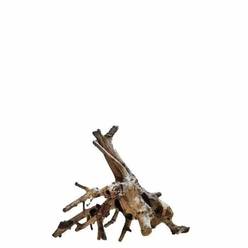 Assorted Amazon Wood Around Small 20CM