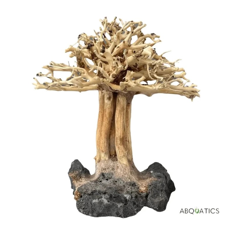 Bonsai Tree For Aquascape Driftwood Live Aquarium Plant Fish Tank Nano