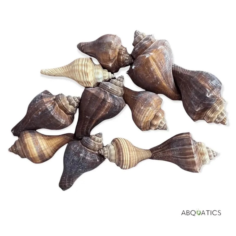 Decor Shell For Tank Decor ( Dark Decor )
