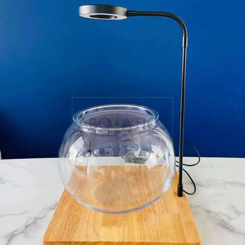 Fish Bowl With Light And Wooden Base