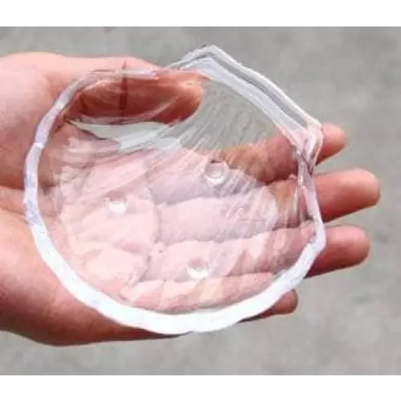 Glass Feeding Dish (SHELL) L(R20)
