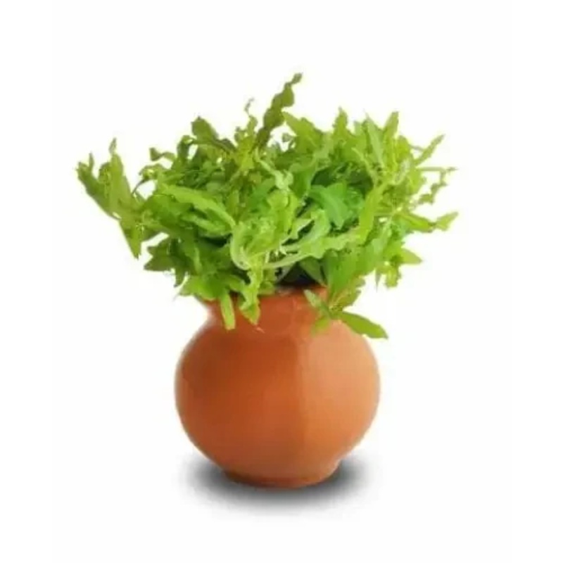 Pogo Helferi Vase Urn 5cm