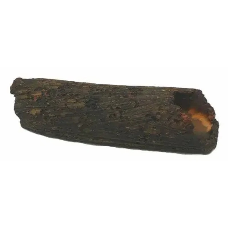 S. Catfish PLECO Log Size: 18x5x5cm