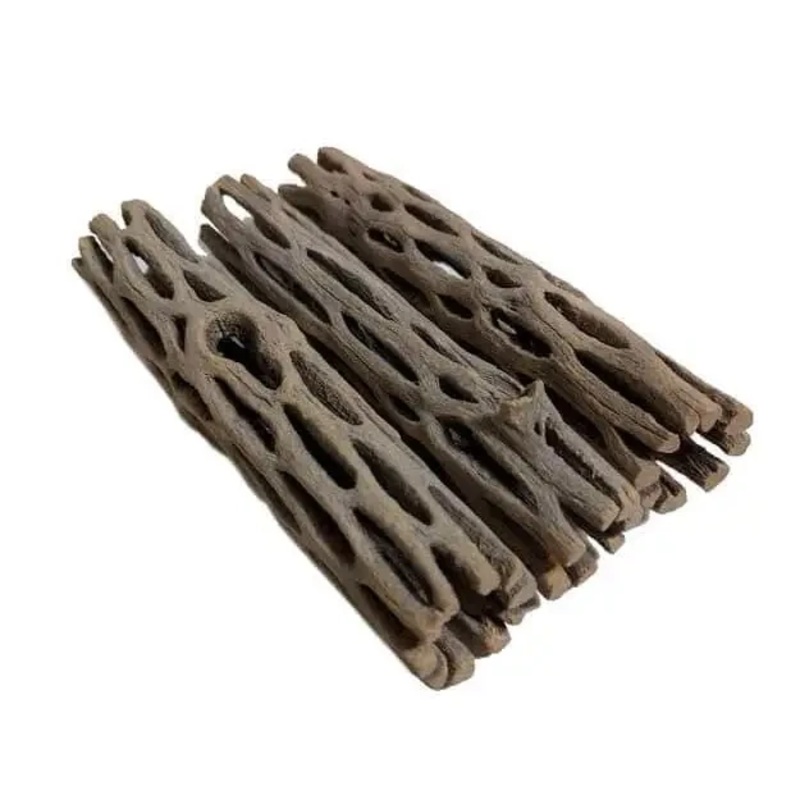 10x Cholla Wood for shrimp tank 12CM-15CM