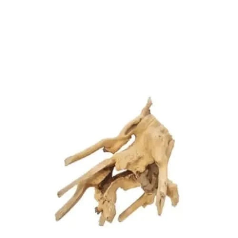 Assorted Congo Wood 20CM