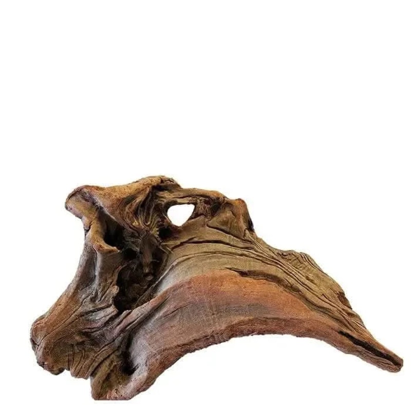 Assorted NZ Exotic Wood Medium 30cm