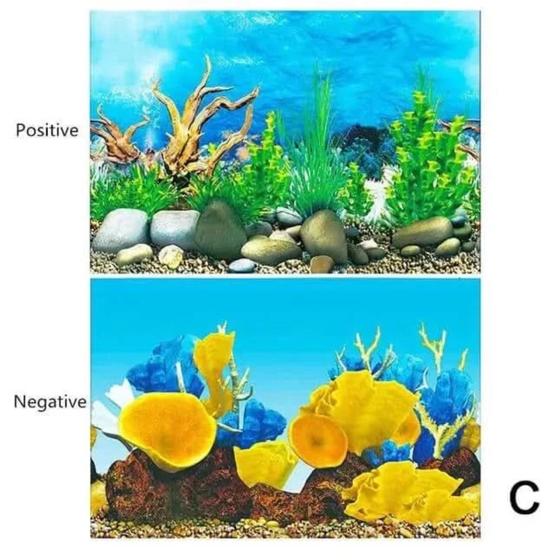 Double Sided Aquarium Background 40 x 60 CM - Type C