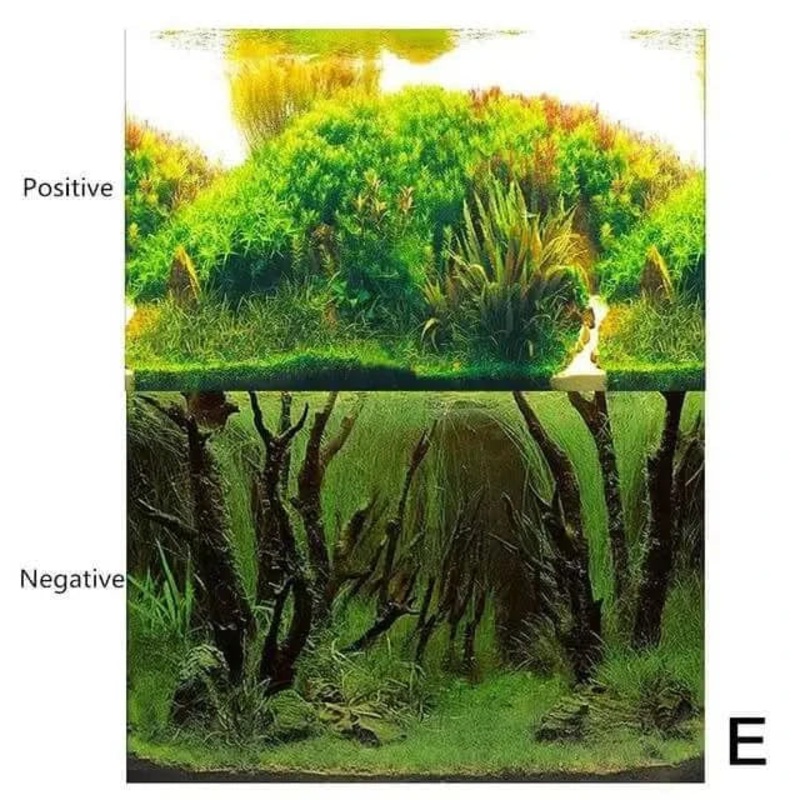 Double Sided Aquarium Background 40 x 60 CM - Type E