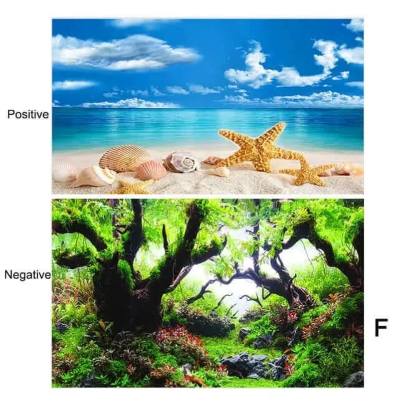 Double Sided Aquarium Background 40 x 60 CM - Type F