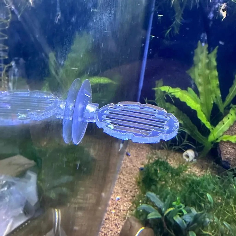 Circle Plant Moss Ledge 4cm ( Clear ) L(R17)