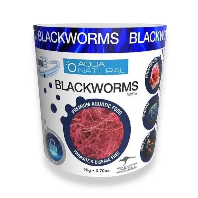 FREEZE DRIED BLACKWORMS 20G TUB