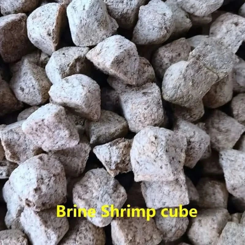 Freeze Dried Brine Shrimp Cubes