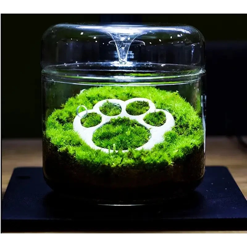 Geometric Terrarium 12cmx12cm L(FR19)