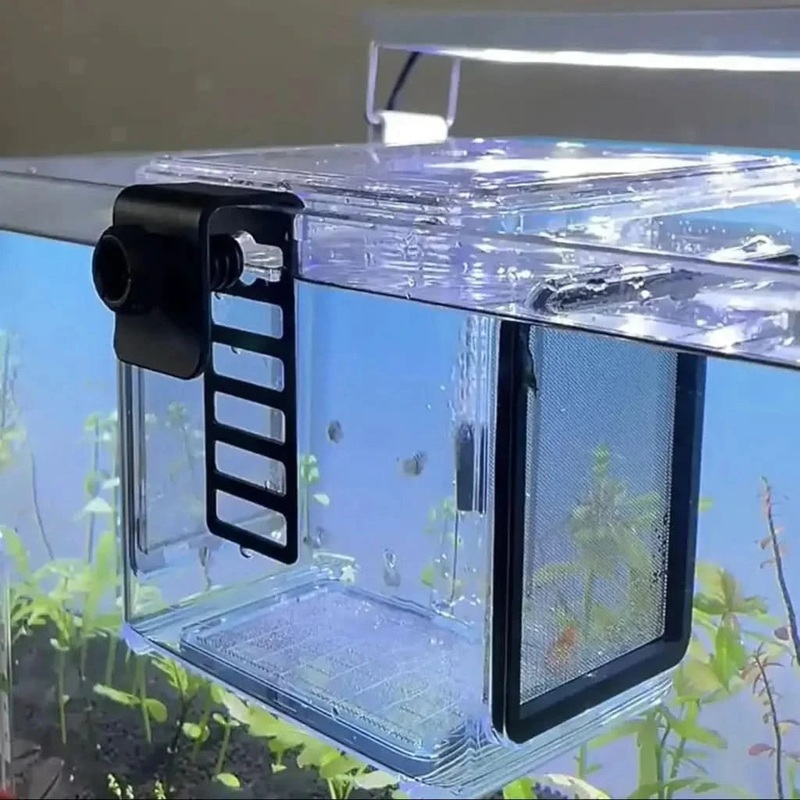 Premium Breeder Box For Fish Shrimps. L (L11)