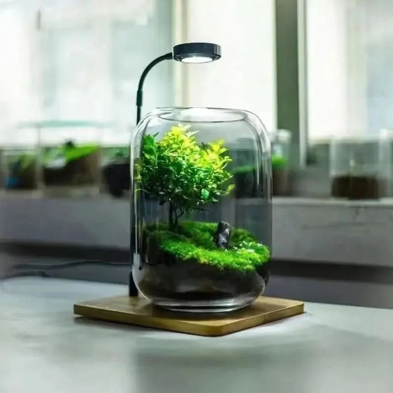 3W Desktop Usb Light with Wooden Base For Aquarium / Fish Bowl - 18cm x 20cm