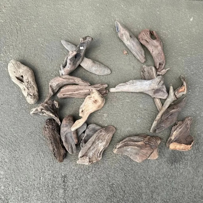 Assorted NZ Exotic Wood Nano 10-12cm