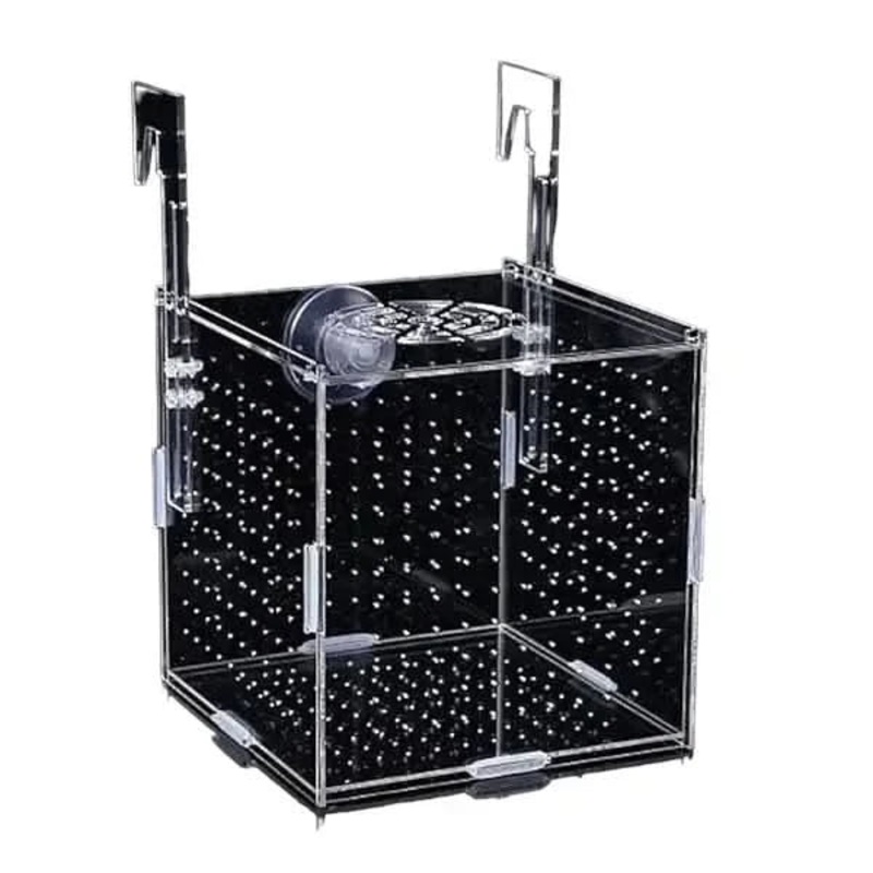 Flatpack Arcylic Breeder Isolation Box 15cmx15cmx15cm - Single. L(R22)