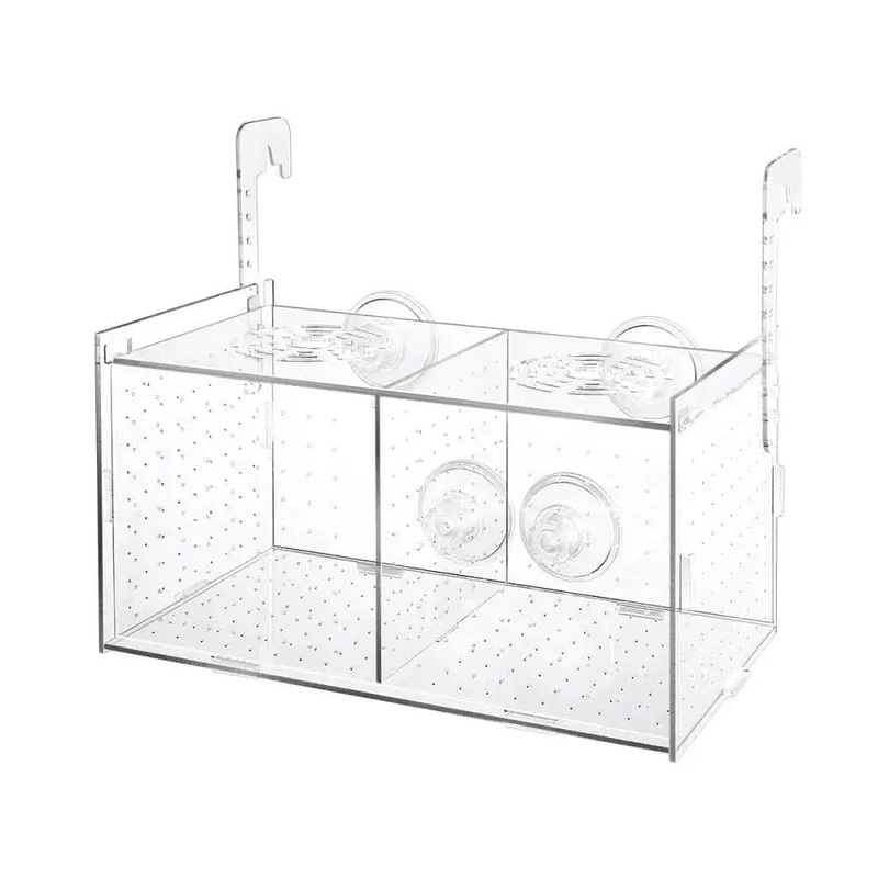 Flatpack Arcylic Breeder Isolation Box 30cmx15cmx15cm - Double.  L(R22)