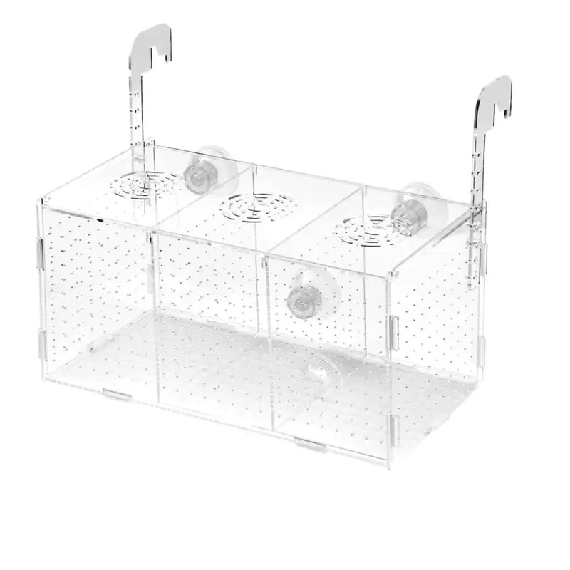 Flatpack Arcylic Breeder Isolation Box 30cmx15cmx15cm - Triple.  L(R22)