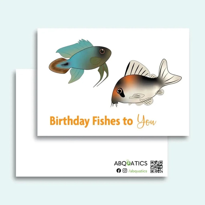 Postcard - Birthday Fishes To You
