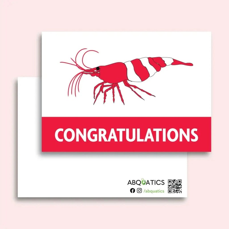 Postcard - Congratulations