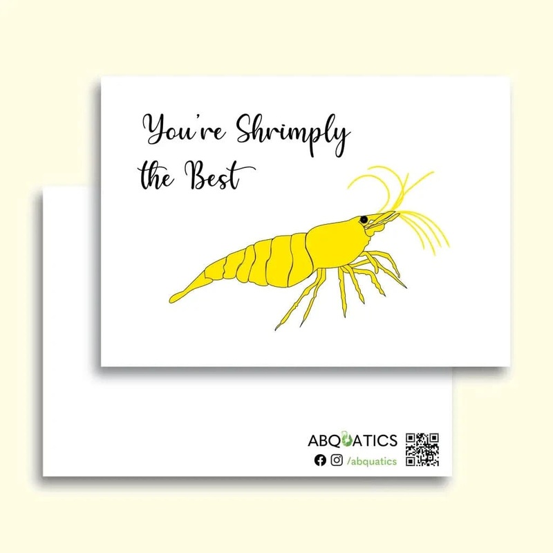 Postcard - You're Shrimply The Best