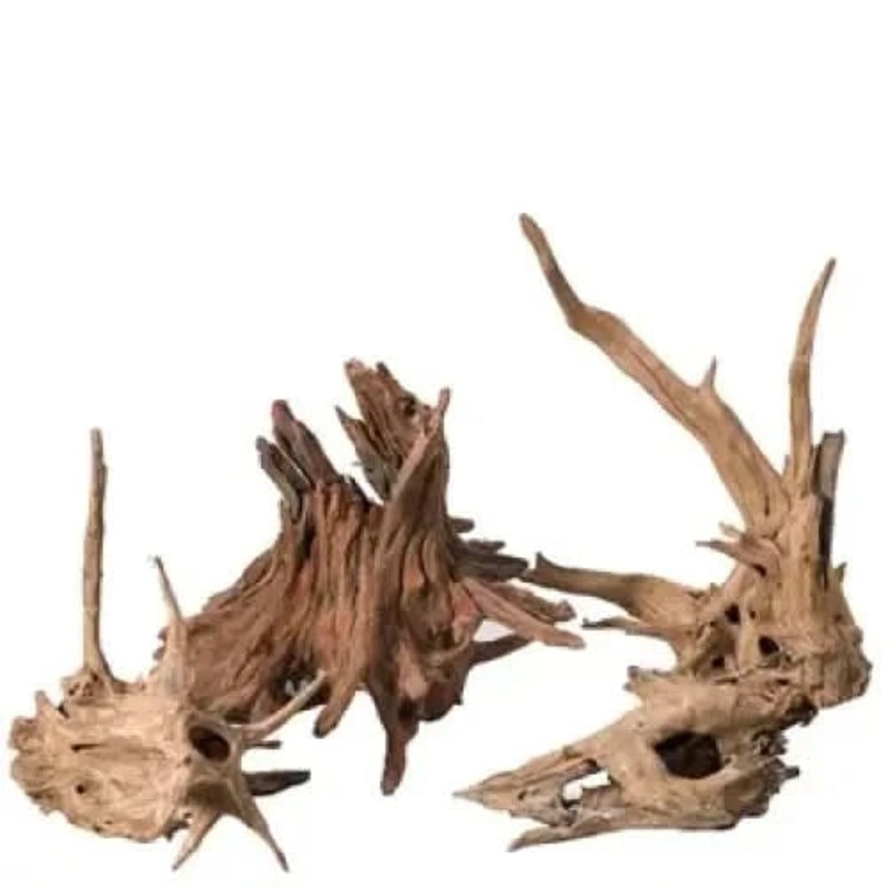 Wizard Wood 20cm