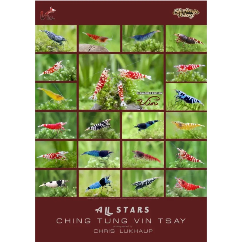 ALLSTARS CHING TUNG VIN TSAY Caridina Collage Shrimp Poster