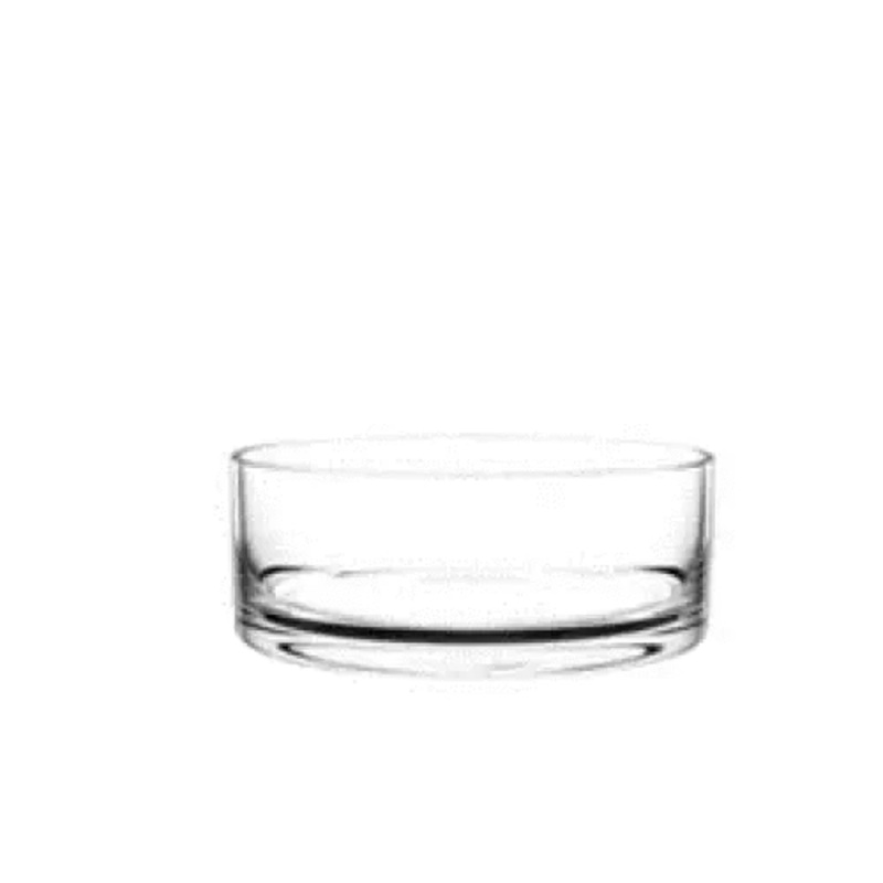 Glass Float Bowl Cylinder Clear (17Dx12cmH)