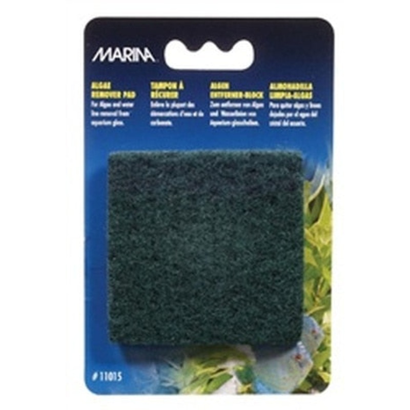 Marina Algae Scrubb