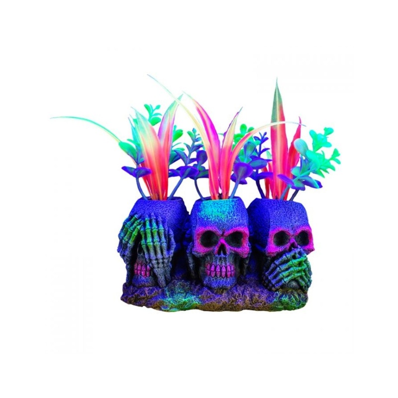Marina iGlo 3 Skulls with Plants, Small