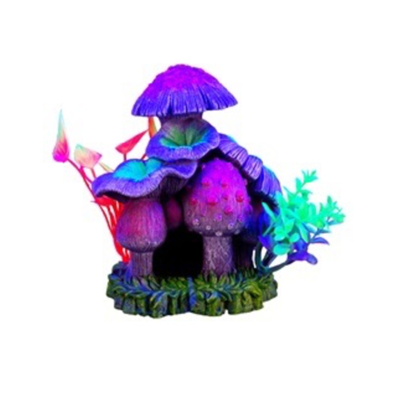 Marina iGlo Mushroom House w/Plants