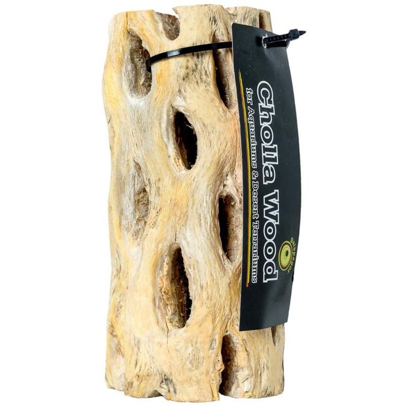 Galapagos Cactus Skeleton Cholla Wood